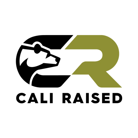 Cali Raised LED overland accessories